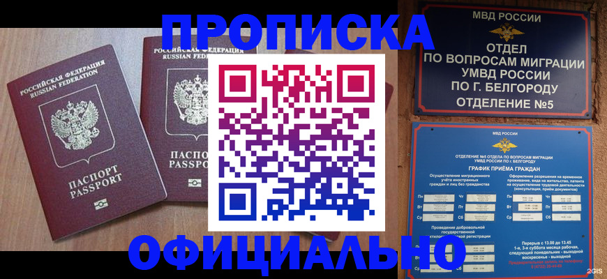 найти адрес прописки в Няндоме